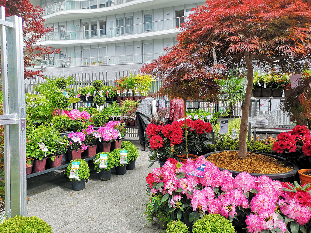 Les jardins supendus de Truffaut
