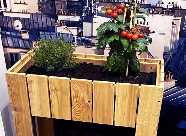 Forest Styles, à fond dans le "City garden" au Gafa 