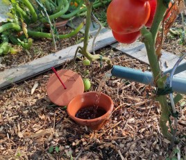 Gamme Aquasolo Outdoor, 011a Tradi,100 en argile (pot et couvercle). Disponible en 0,51 pour les pots et jardinières,1,51et 5I pour les massifs et les potagers. 011a Expert, 100 % argile, forme cylindrique, plus facile à enterrer avec couvercle en liège. 011a Tradi: 0,5 I, 13,50 C. 011a Expert: 1,51,19,90 C.