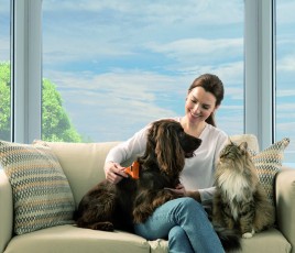 Les Français, fans des animaux