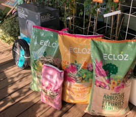 Ecloz