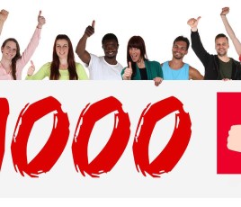 Mr bricolage 1000 magasins