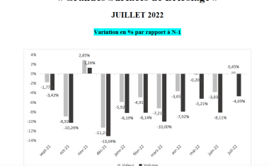 résultat juillet brico