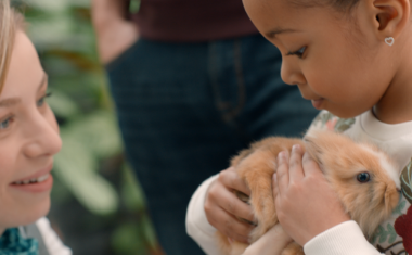 Truffaut met de la pub TV dans sa vie