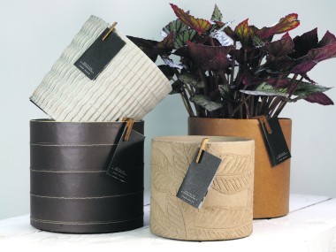 Décolines propose des pots en papiers Papots dans sa collection 2020