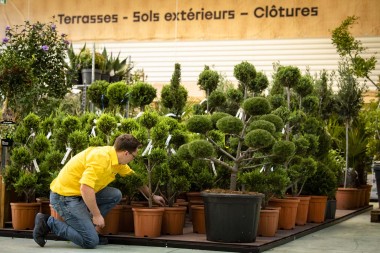 La zone jardin : environ 1500 m2